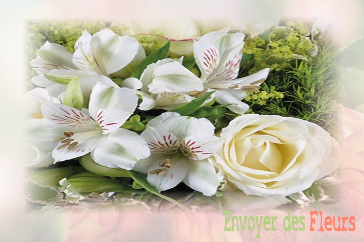 envoyer des fleurs à à VILLIERS-EN-BIERE